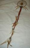 Brown Med.Dreamcatcher Amonite stone